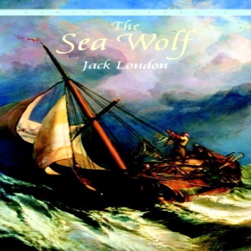 The Sea Wolf !