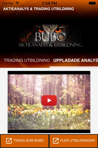 Bubo tradingskola & analys screenshot 3