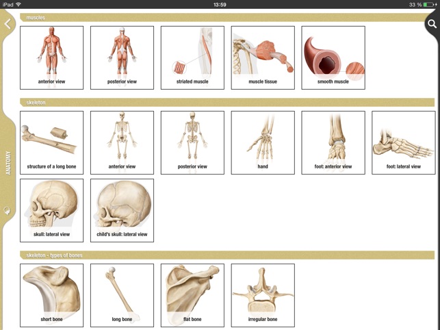 Merriam-Webster The Visual +(圖4)-速報App