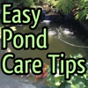 How to Care for Your Pond:Tips and Tutorial