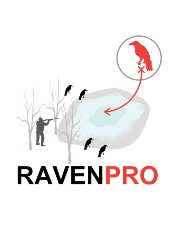 Raven Hunting Strategy Hunting Simulator for Bird Hunting screenshot-0