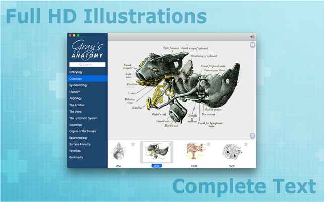 Gray’s Anatomy HD for Students(圖4)-速報App