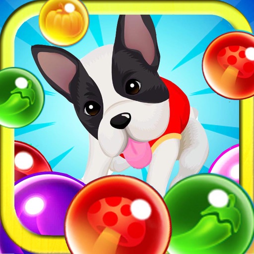 Jewel Crush Dog Bubble - Magic Match Switch Icon