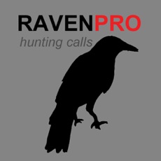 Activities of REAL Raven Hunting Calls - 7 REAL Raven CALLS & Raven Sounds! - Raven e-Caller - BLUETOOTH COMPATIBL...