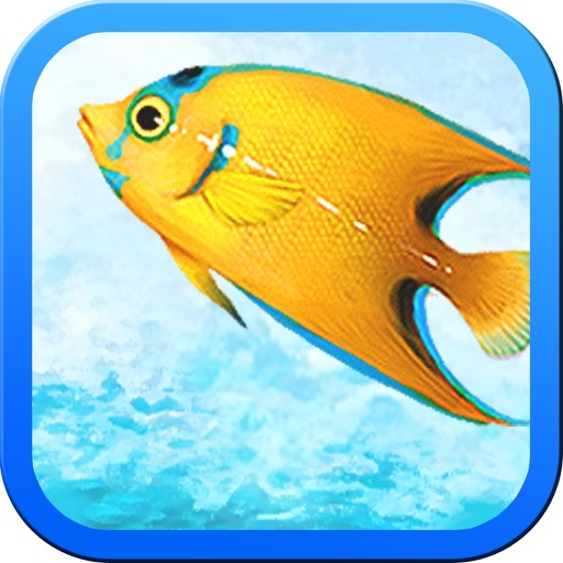 Tropical Fishing 24