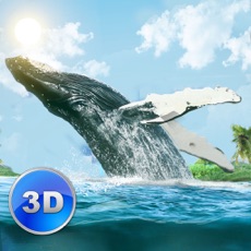 Activities of Big Blue Whale Survival 3D Full - Try whale simulator, be ocean animal!