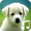 Dog and Puppy Sounds For Deep Sleep Relaxation