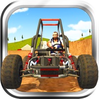 Contacter Buggy Stunt Driver