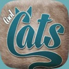 Cool Cats Videos