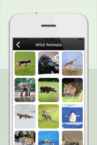 Kids Zoo : Animal Sounds screenshot 2