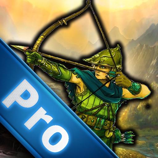 Archer Arrows On The Big Stone PRO - Arrows Game Icon