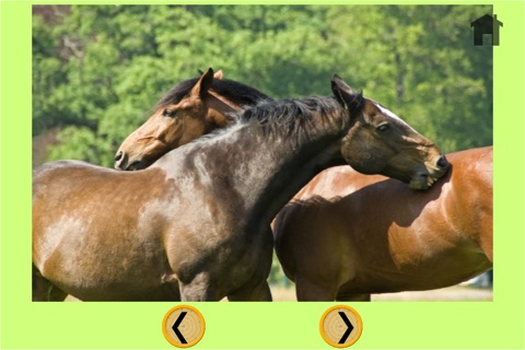 beautiful amazing horses for kids - no ads screenshot 2