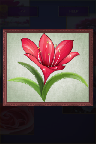 Picross Flower (nonogram) screenshot 4