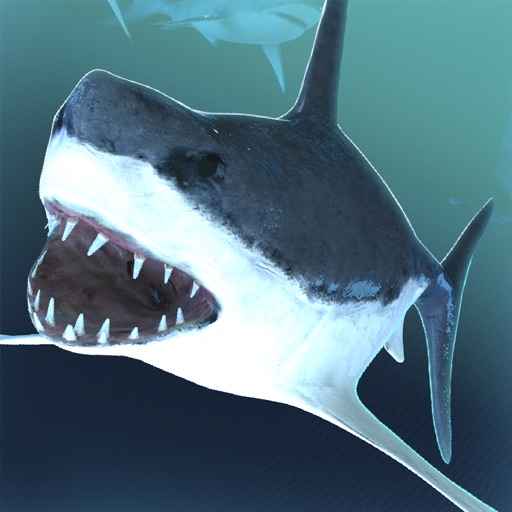 Shark Simulator 2016 | Funny Shark Games Pro icon