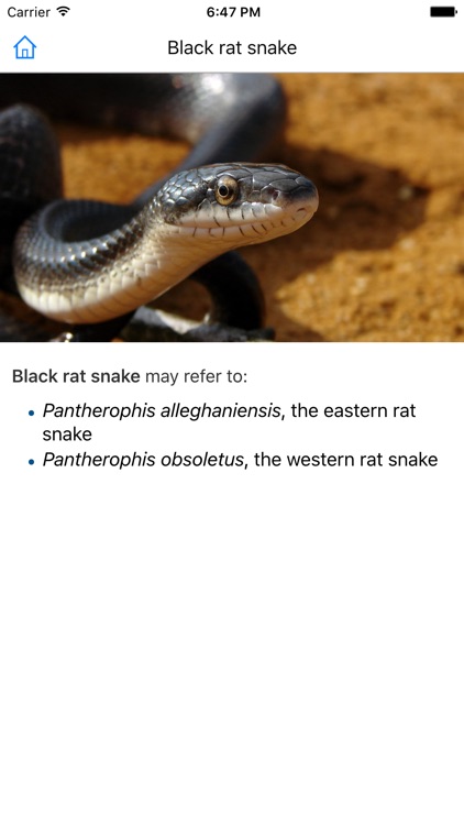 CHI Encyclopedia of Snakes screenshot-3