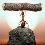 Fotos imposibles gratuito