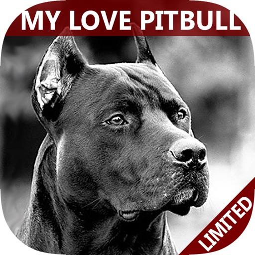 My Best Pet is PitBulls - Easy Train Your Bully & Dangerous Pit Bull To Obey Right! icon