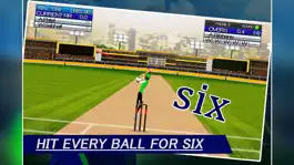 Game screenshot IPL Cricket Craze 3D apk