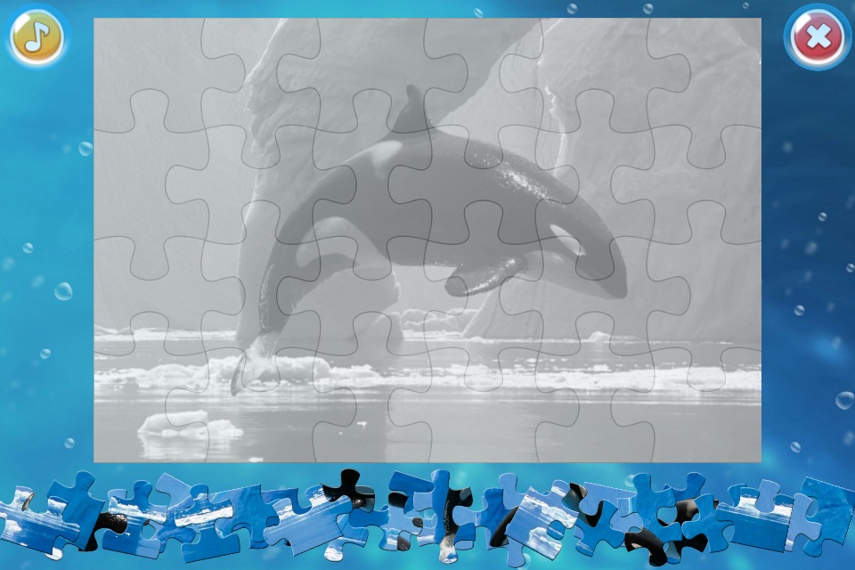 Arctic Animals Puzzle screenshot 4