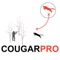 Are you a cougar hunter who loves to hunt for cougars