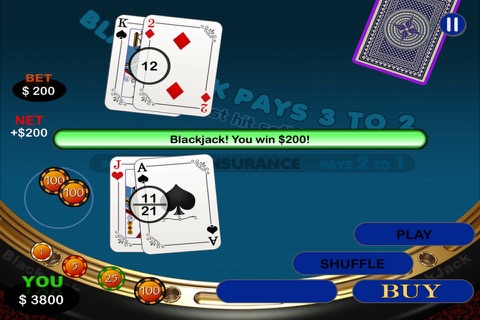 High Rollers - Black Jack Double Down Vegas Style  Casino screenshot 2