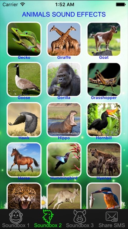 Wild Animal Soundboard Button - Listening Real Animals Sound Effects &  Nature Sounds Plus by Son Dang
