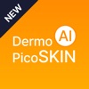 DermoPico Skin