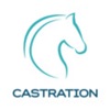 Equine castration research