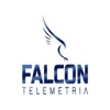 Falcon Telemetria