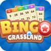 bingo grassland