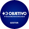 Gestor Objetivo Pinda