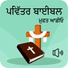 Holy Bible In Punjabi