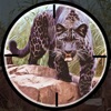 Animal Hunter Hunting Clash 3D