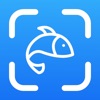 Fish Identifier: Scan & Find