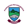 Dromid Pearses GAA Club