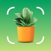 Plant Identifier - Plant App