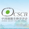 CSCB