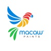 Macaw Paints Partner