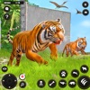 Tiger Attack Simulator