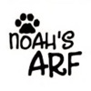 Noah's Arf