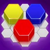 Hexa Sort 3D - Puzzle Master