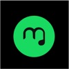 Hola Offline Music Player