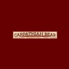 Carpathian Bear