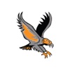 Easton Valley CSD