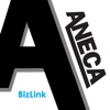 ANECA BizLink