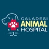 Caladesi Animal Hospital