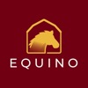 Equino paardenspel