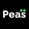 Peas: Couples Financial AI