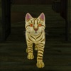 Evil Cat Escape Run Game 3D