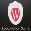 Loco Score